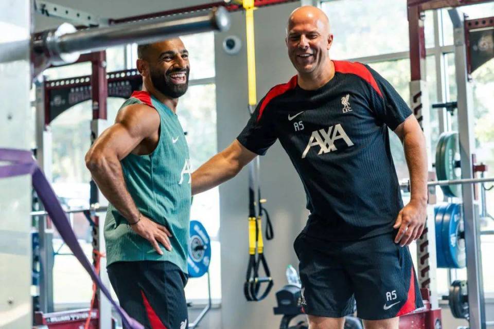 的表现说不, 但能够从濒