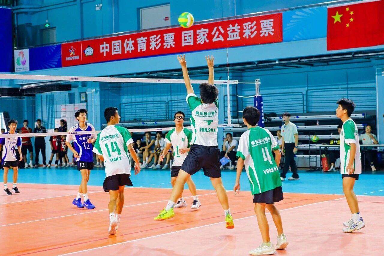 广州市排球, amp, entit 广州市排球, amp, entit